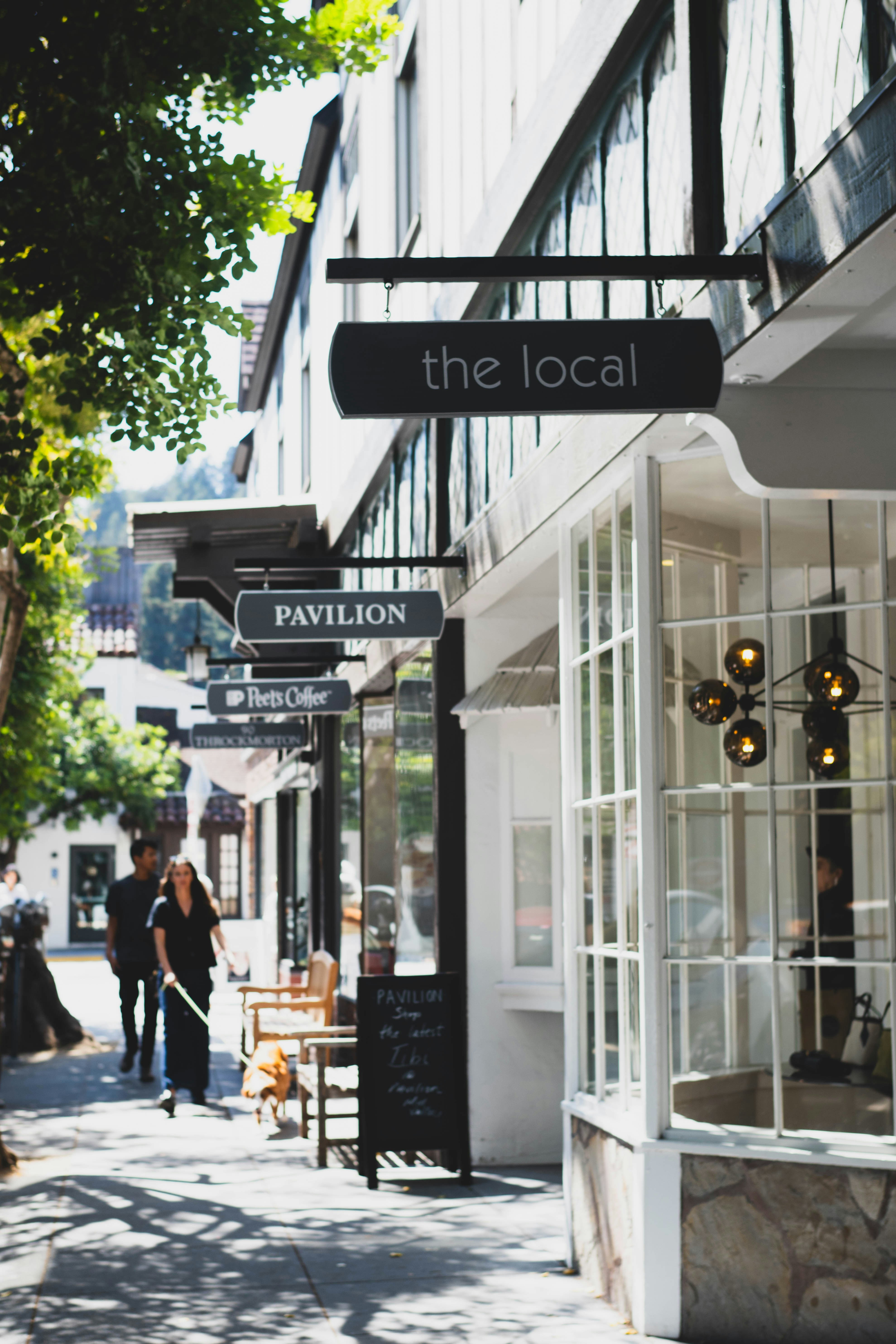 Professional local business property